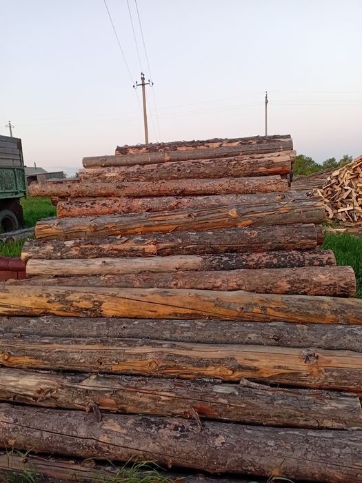 Продам дрова столбы