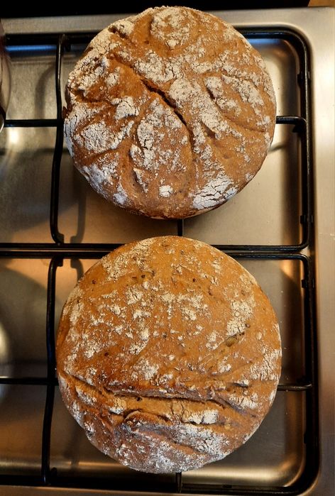 Maia activă cu făină BIO 100% INTEGRALĂ!