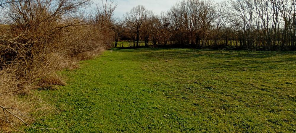 Продава се Парцел в Варна, Базар Левски - 1380 кв.м за 3 €/кв.м - Снимка #3