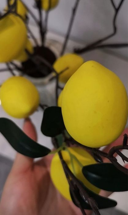 Продаются декоративные цветы