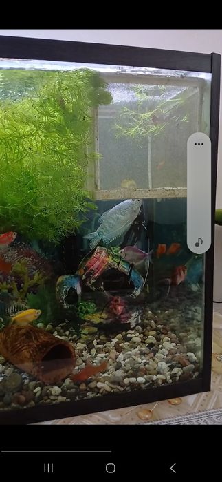Продаётся аквариум 100 литров