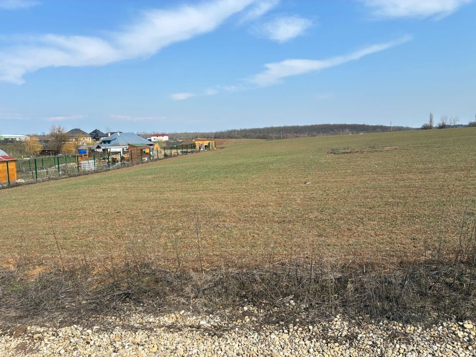 Teren Bălteni (Scroviștea) - Periș 1581 mp