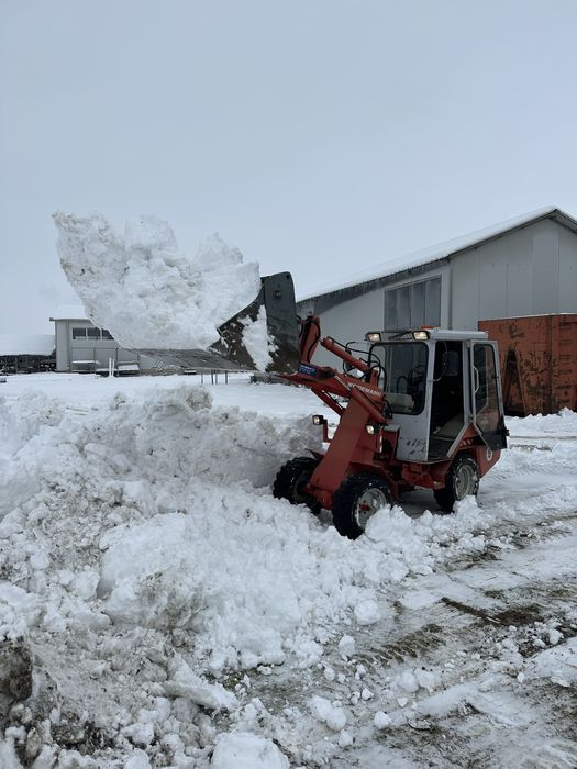 Deszăpezire profesională !!