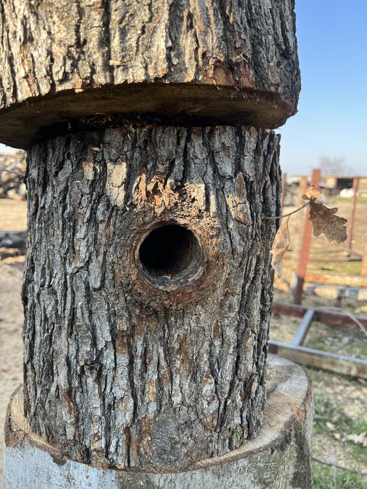 Дърво за декор.