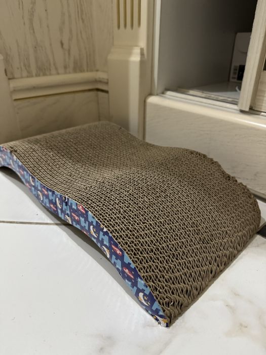 Продается красивый сиамский котенок