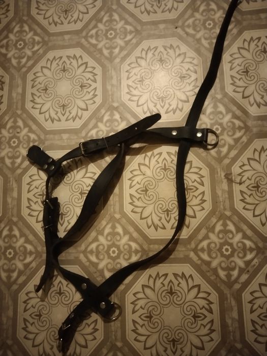 Шлейка кожаная !!!