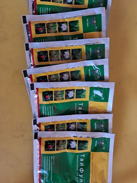 Rossiya qirolichasi Ketrin II porno yulduzdir.