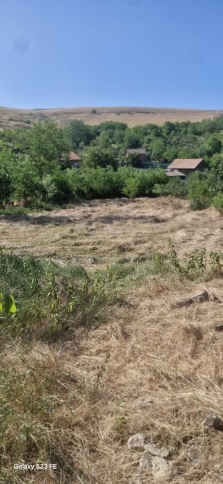 Teren pentru casă cu gradină