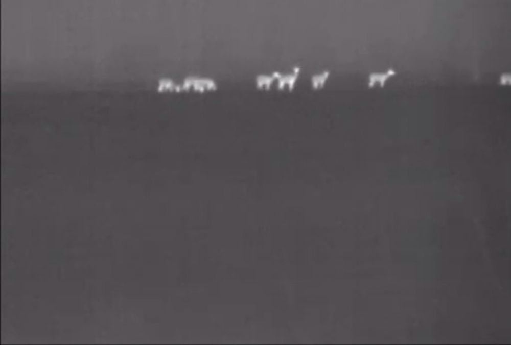 Vand camera termoviziune  pulsar