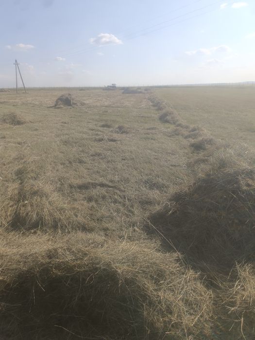 Продам сено... Г.Щучинск