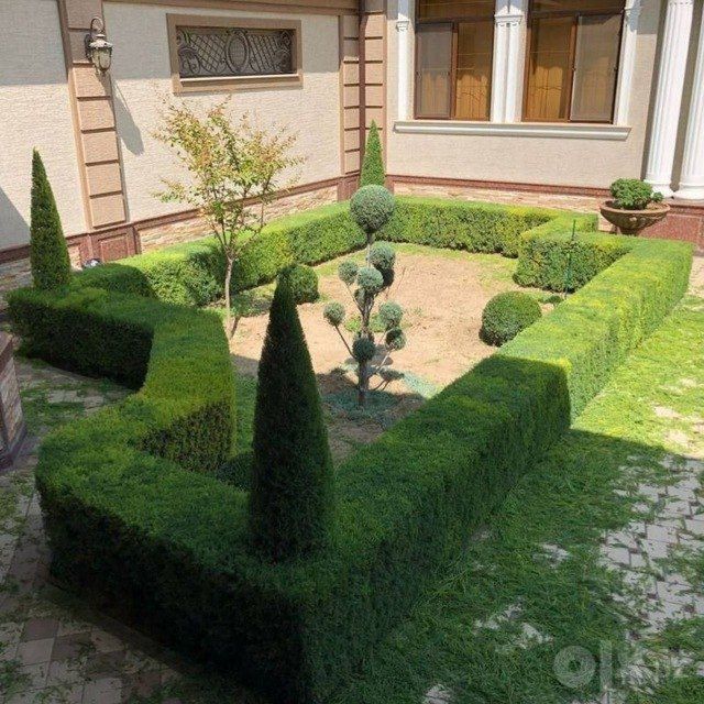 Archa va gullarga shakli berish