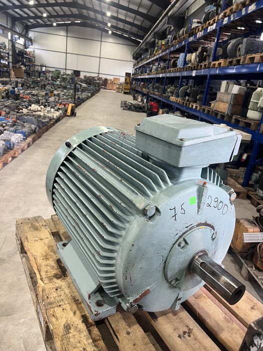 Ел.двигател/електромотор 75 kW 2900 RPM