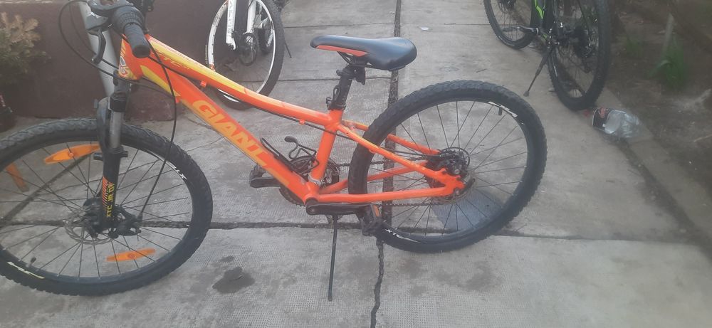 Bicicleta Giant 24