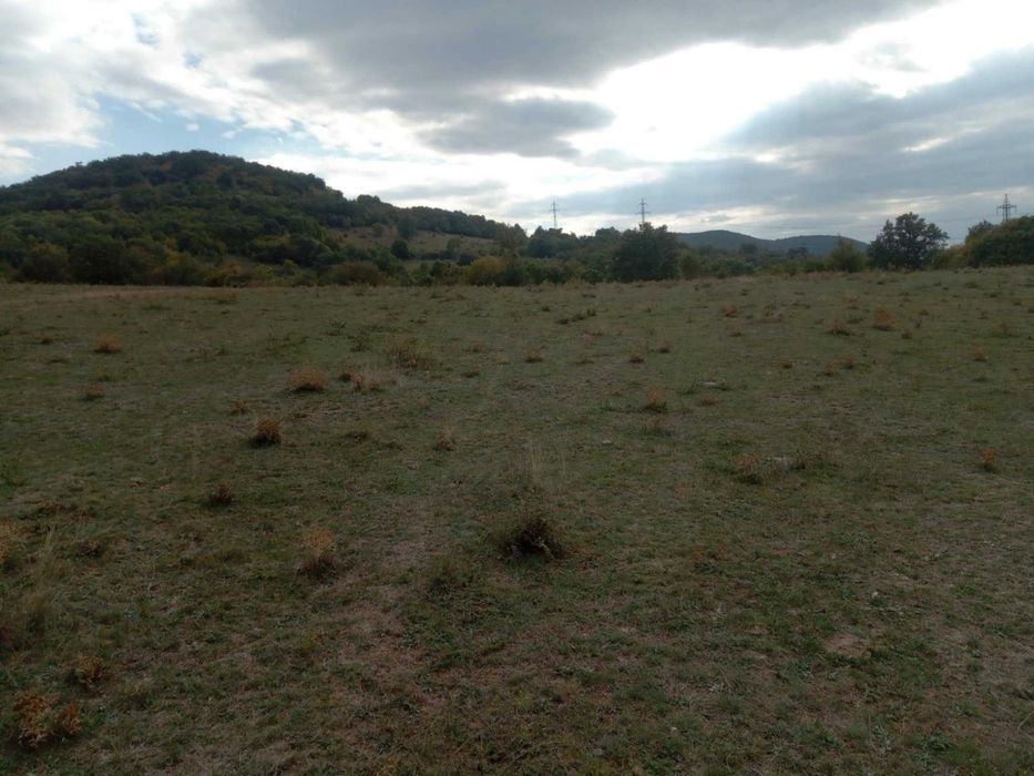 Продава се Земеделски имот в с. Змейово, Област Стара Загора -  кв.м за 5236 €/дка - Снимка #3