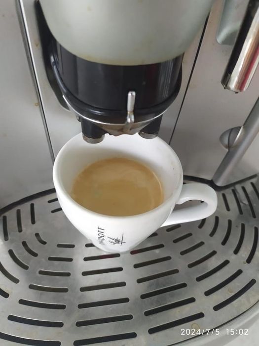 Делонги Магнифика