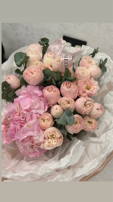 Пионы очень красивые