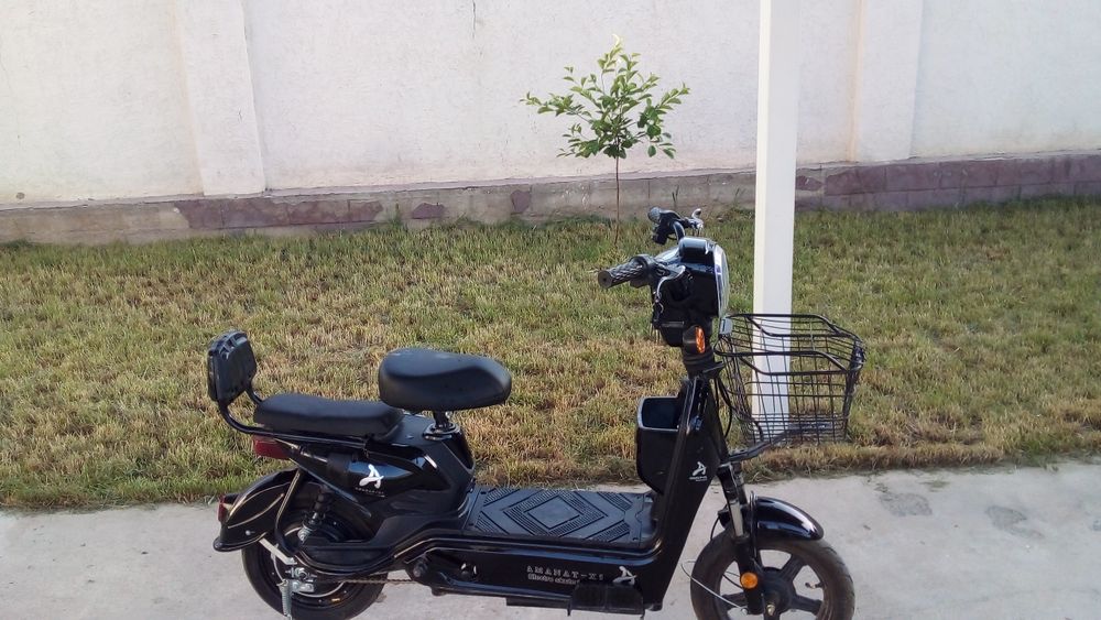 Скутор мош електір