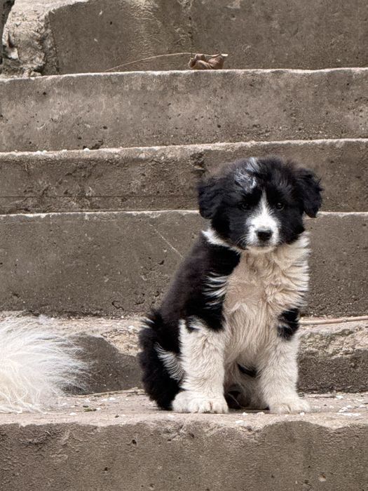 Малышка все еще ищет семью