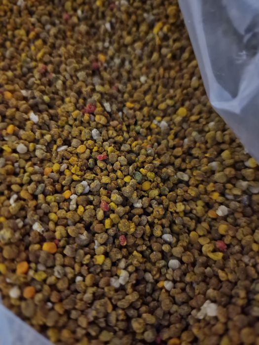 Vând polen crud de primăvară 2026