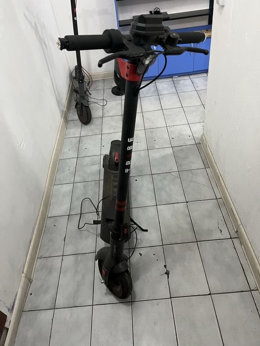 Продается электросамокат Tribe
