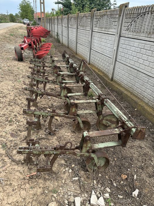 Prasitoare ………..