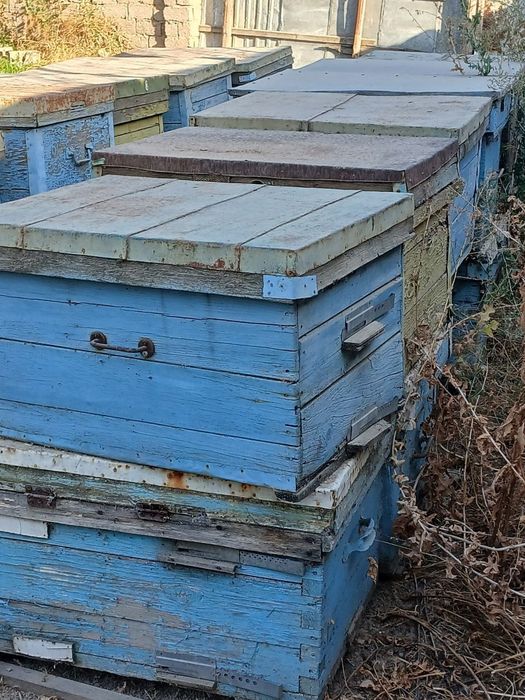 Asal ari yashiklar kelishilgan narxda