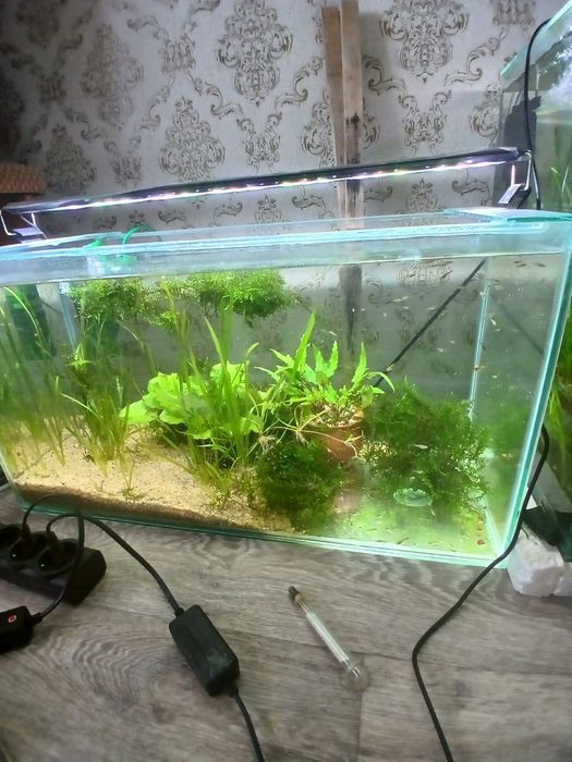 Продам аквариум 60 л с рыбками