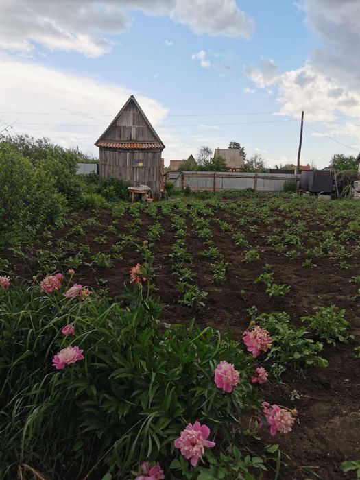 Продам дачу  5 соток