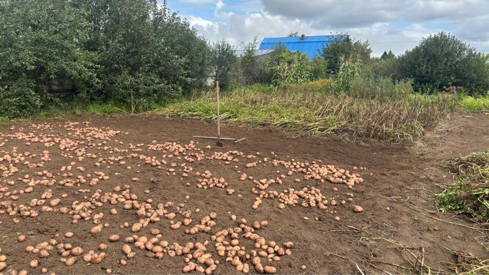 Продам дачу на Союзе