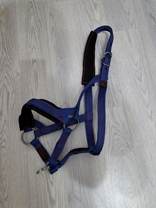 Жуген нокта сатылады