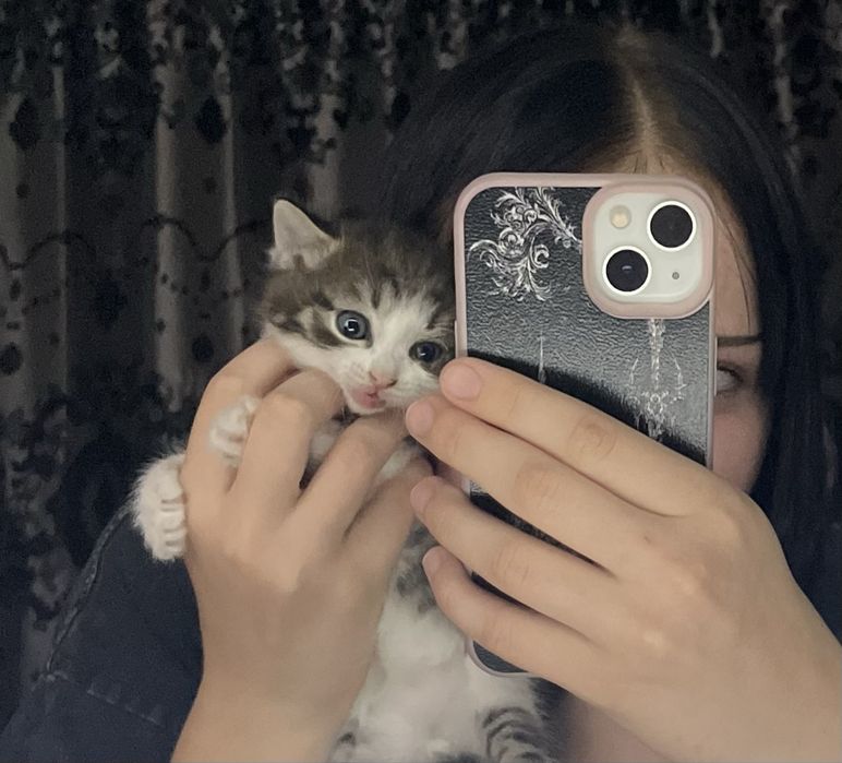 Отдам котят, девочка и мальчик