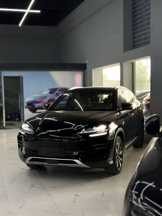 Byd chempion smart
