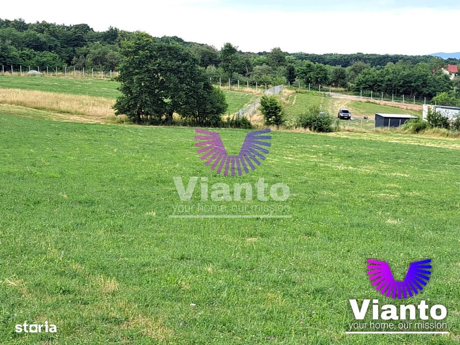 Oportunitate-Teren Extravilan 3100 mp cu vedere Panoramica-Tropinii No