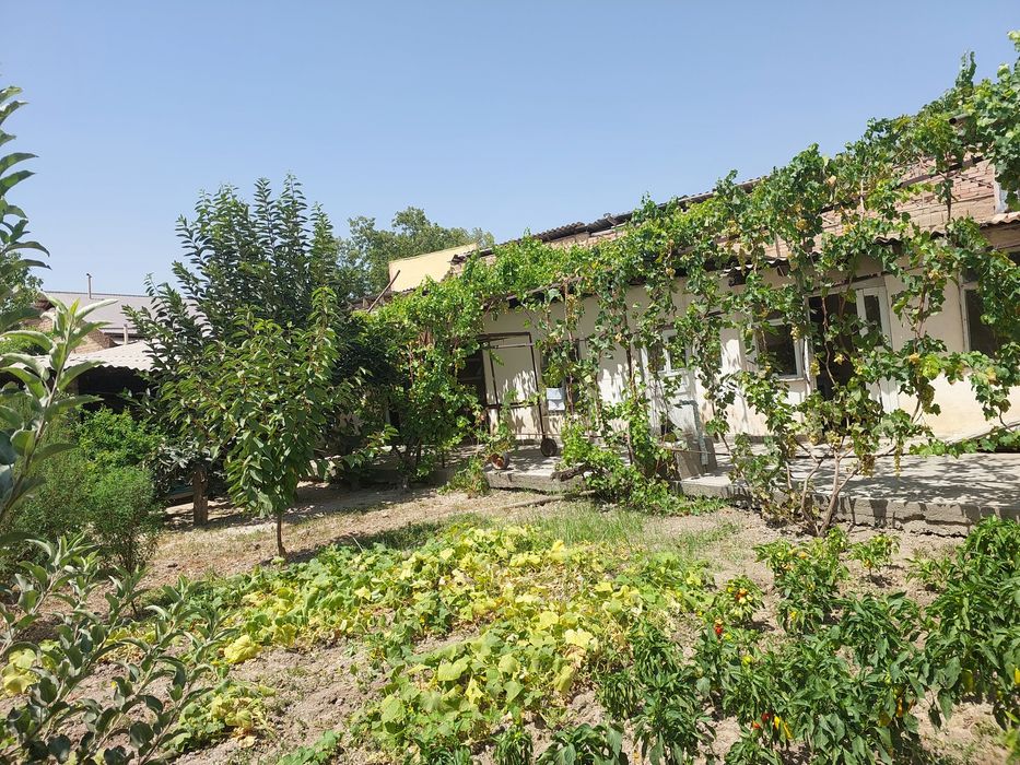 Qibray sentrda 3 sotix yer sotiladi