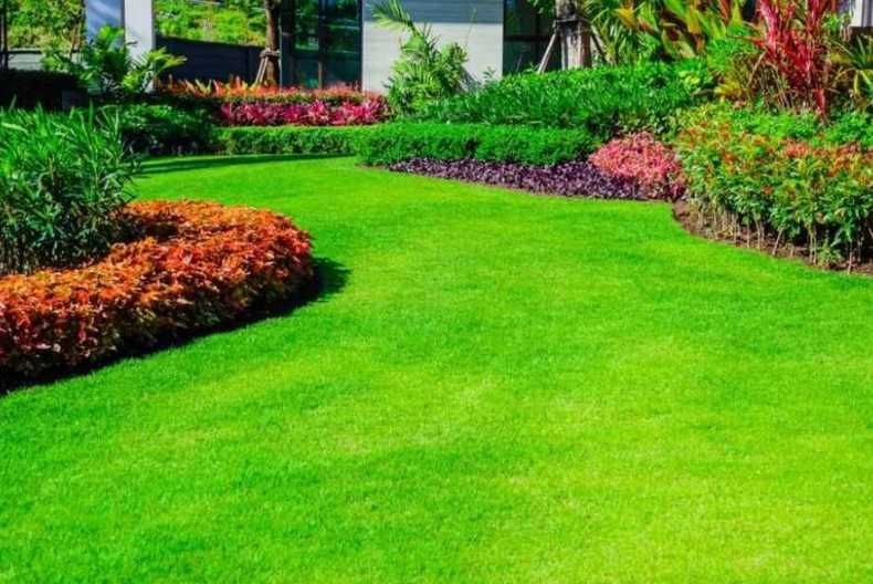 Gazon Rulou, Sisteme de irigare Plante Ornamentale