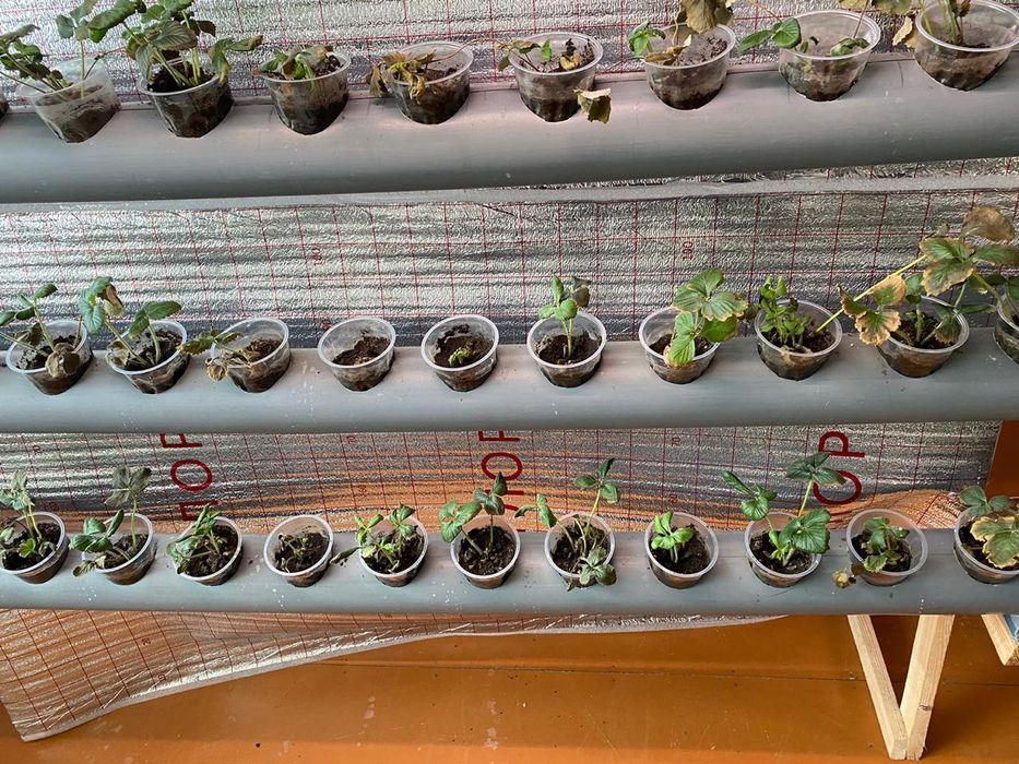 Трубы с отверстиями