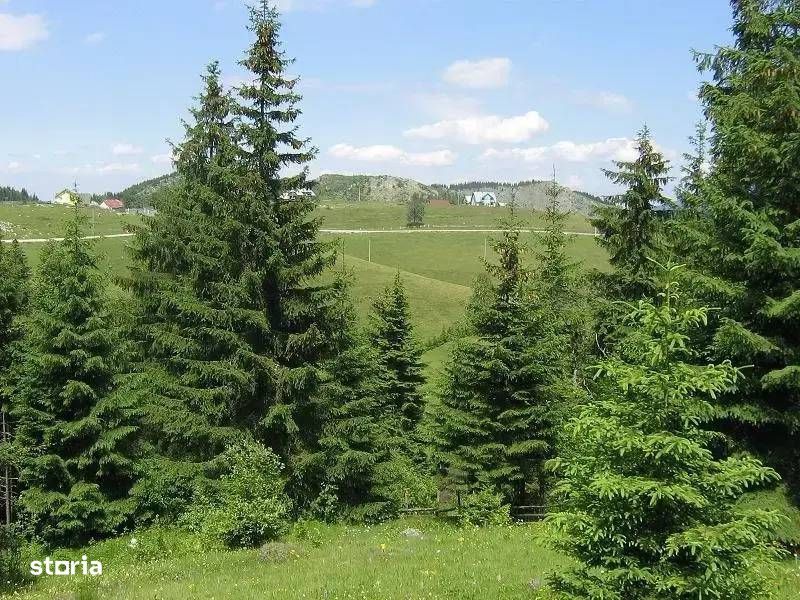 Teren Intravilan De Vanzare | Comuna Fundata | Fundatica | Brasov