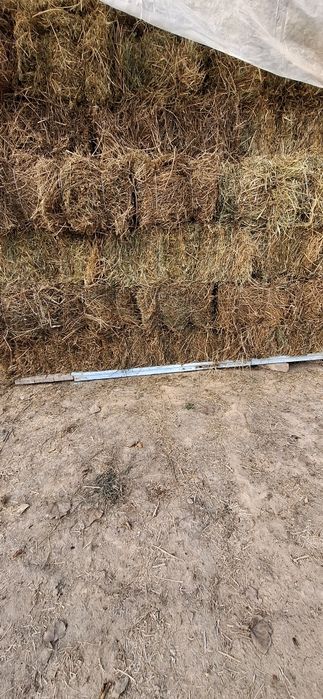 Беда, Хашак прес. Катта ... 35 000 сум.