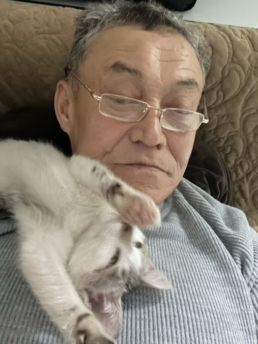 Щелерез под трактора 12,21 , ловол