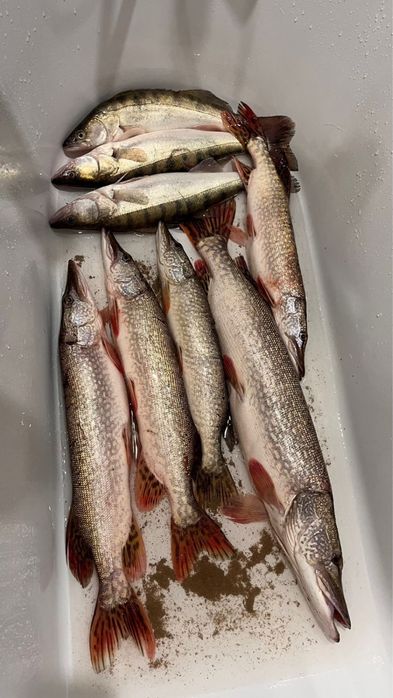 Спиннинг ZETRIX EXILON 702MH 10-35 Casting