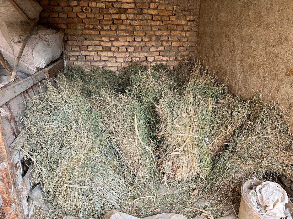 Бедалар сотилади, келишилган нархда.