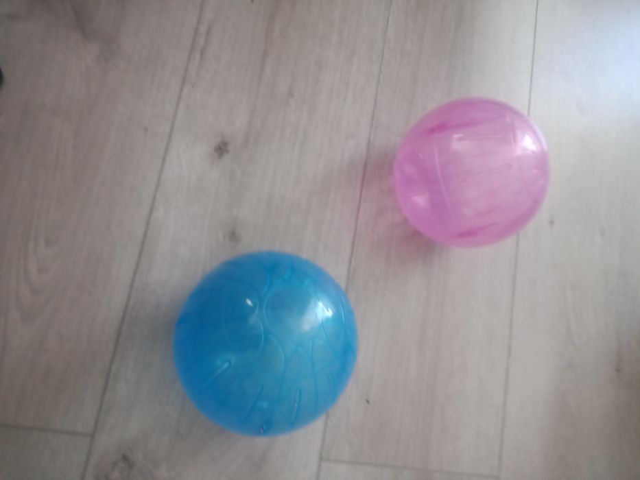 Roata pentru hamsteri!