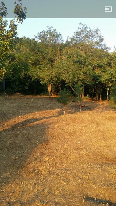 Продава се Парцел в с. Банкя, Област Перник - 1200 кв.м за 75 €/кв.м - Снимка #5