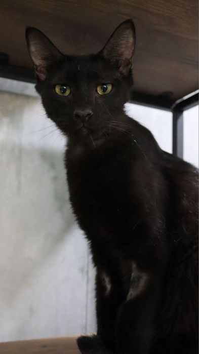 Лаки ищет себе маму и папу!