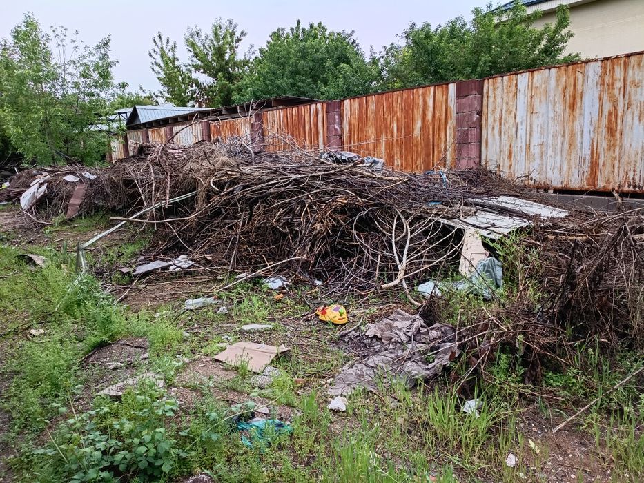 Отдам даром дрова из тополя и из вишни