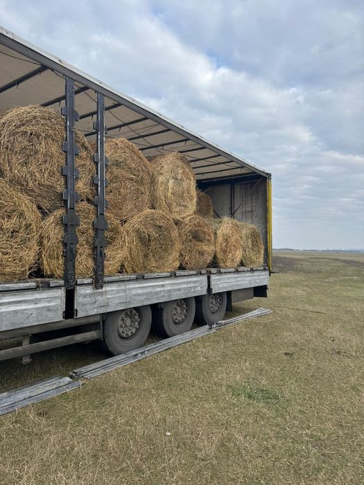 Baloti Rotunzi Lucerna min.40.or fan.Drept.min.500.Transport inclus>RO