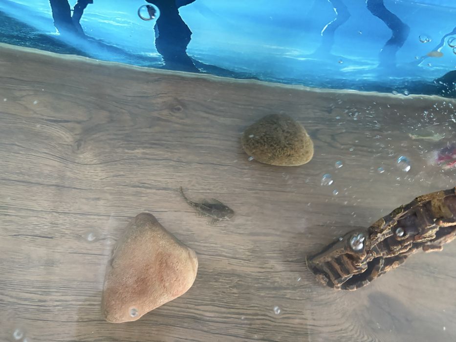 Продам аквариум, с Рыбками.