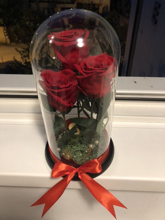 Trandafiri in cupola