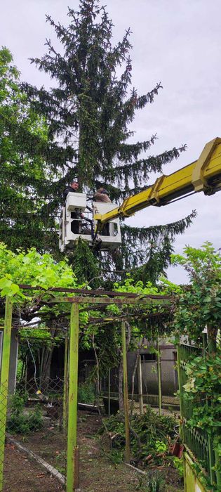 Вишки под наем до 30м.  Рязане на дървета