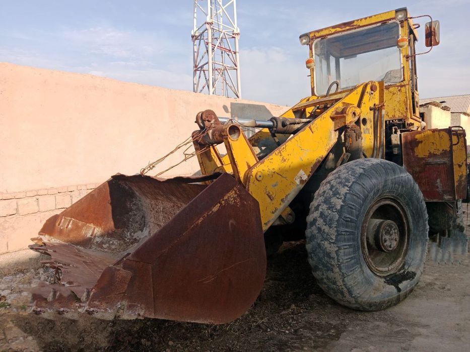 Paguruschik Palak Delta